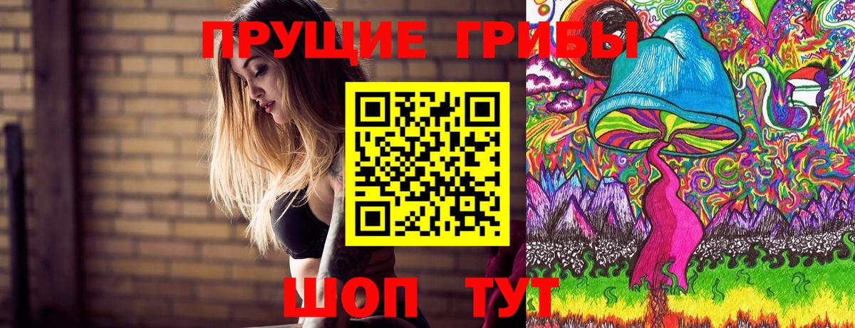 Галлюциногенные грибы GOLDEN TEACHER  сколько стоит  Печора  Вход с VPN 